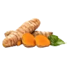 Curcuma Curcuma