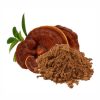 Ganoderma Ganoderma