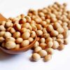 Soya