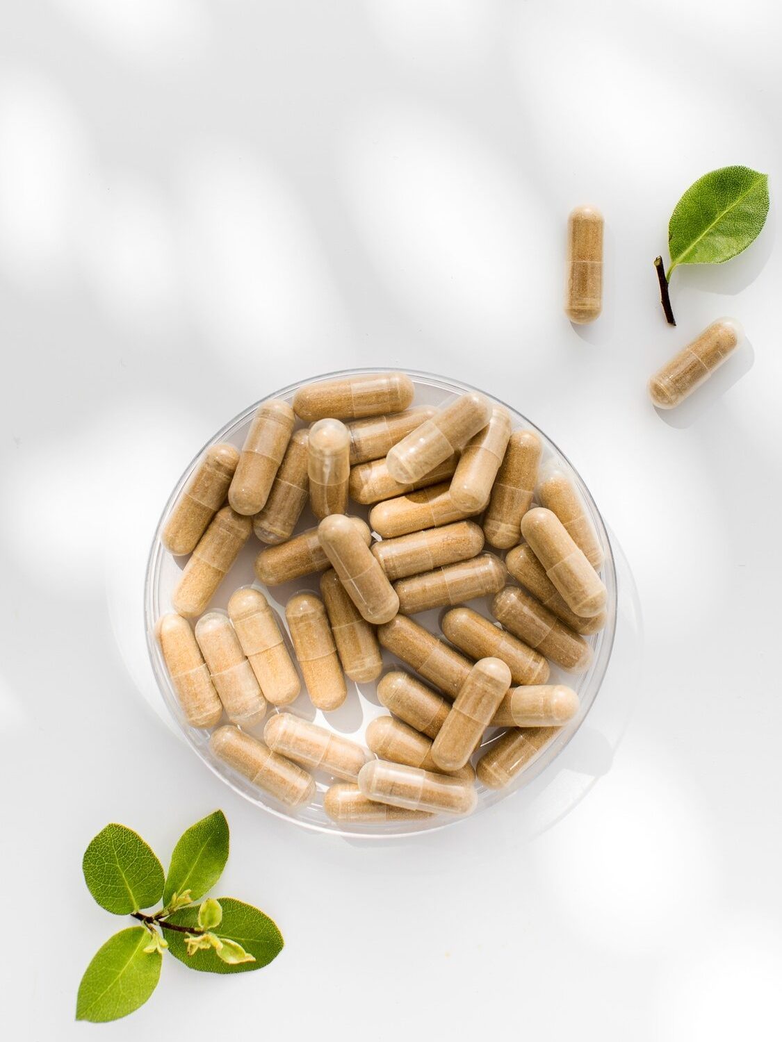 Vitamin capsules with a natural herbal composition. The concept of medicine, medicines. Copy space